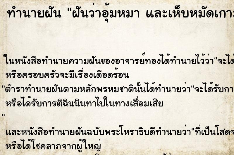ทำนายฝันฝันว่าอุ้มหมาและเห็บหมัดเกาะเต็มเลย ทำนายฝันทำนายฝันฝันว่าอุ้มหมาและเห็บหมัดเกาะเต็มเลย
